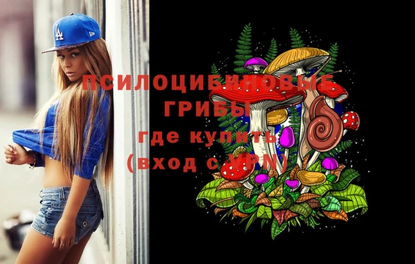2c-b Абинск