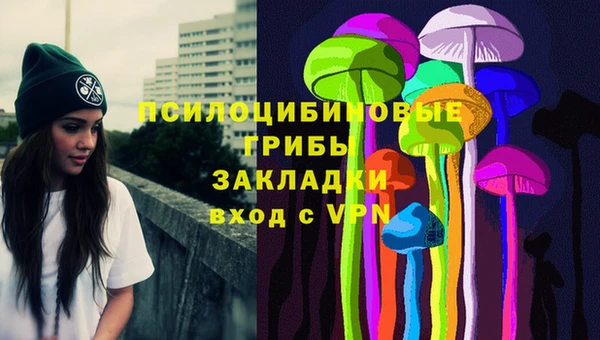 бошки Абаза