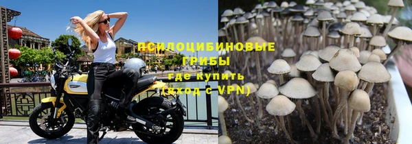 бошки Абаза