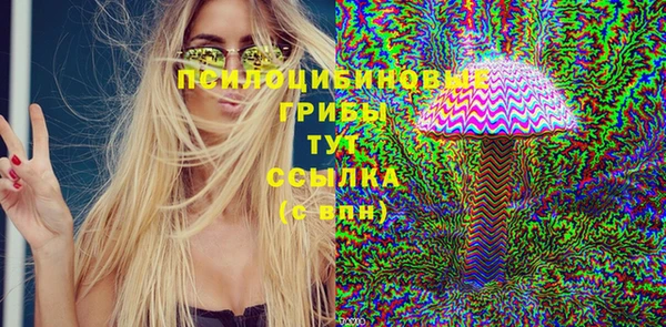 крисы Абдулино
